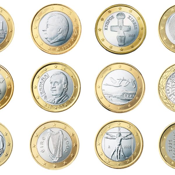 WhatsApp Image 2026-02-17 at 11.11.31 (3)