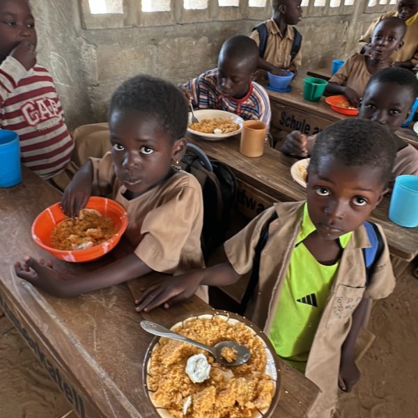 WhatsApp Image 2026-02-17 at 11.11.31